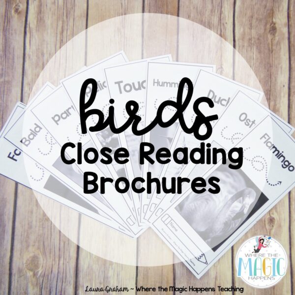 birds close reading